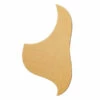 Acoustic Guitar Pickguard - Standard