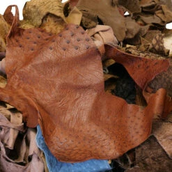 Fish, Fur, & Feathers Pieces Box -Leather Goods Sales Shop 100 2080.SLC .04