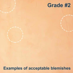 Import Tooling Pre-Cut - 4.25" X 6" -Leather Goods Sales Shop 100 F.SLC .4