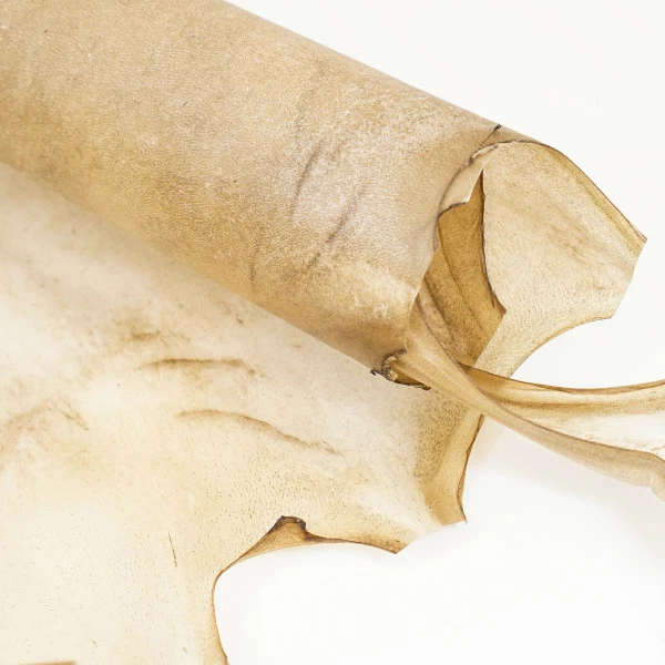 Goat Rawhide - Large 2 Goat Rawhide - Large - Image 2