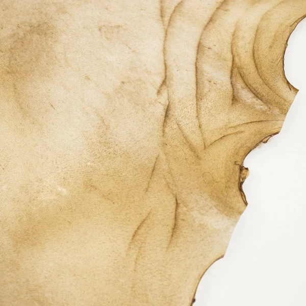 Goat Rawhide - Large 4 Goat Rawhide - Large - Image 4