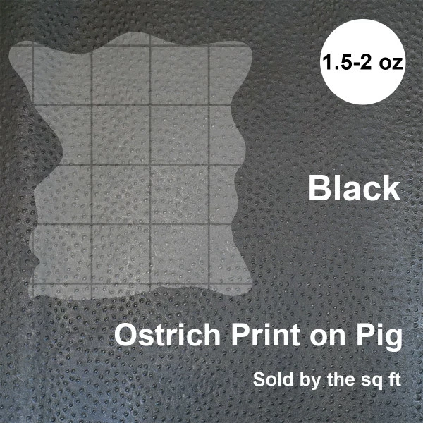 Print,Ostrich,Pig,Black 4 Print,Ostrich,Pig,Black - Image 4