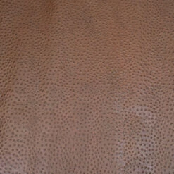 Print,Ostrich,Pig,Brown 6 Print,Ostrich,Pig,Brown -Leather Goods Sales Shop 371 402.SLC .3