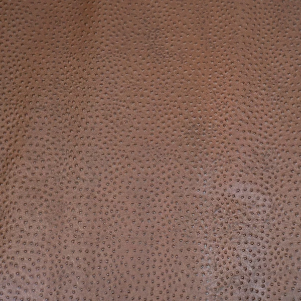 Print,Ostrich,Pig,Brown 3 Print,Ostrich,Pig,Brown - Image 3