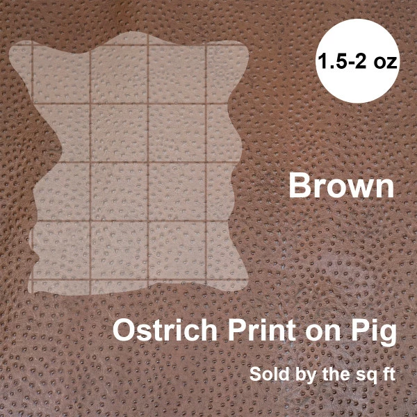Print,Ostrich,Pig,Brown 4 Print,Ostrich,Pig,Brown - Image 4