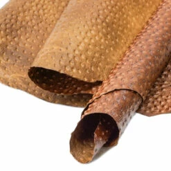 Print,Ostrich,Pig,Tan