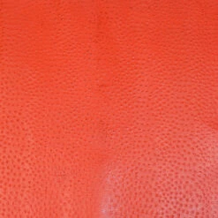 Print,Ostrich,Pig,Red -Leather Goods Sales Shop 371 405.SLC .3