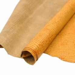 Print,Gator,Pig,Buttercup