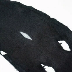 Black Stingray - Large