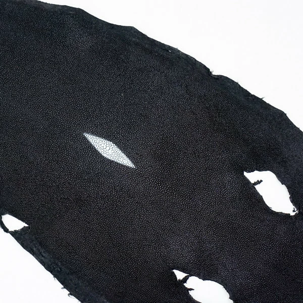Black Stingray - Large 1 Black Stingray - Large