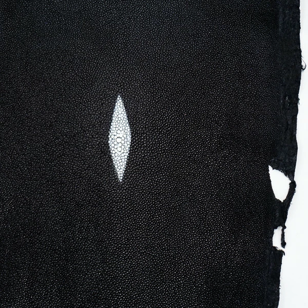 Black Stingray - Large 2 Black Stingray - Large - Image 2