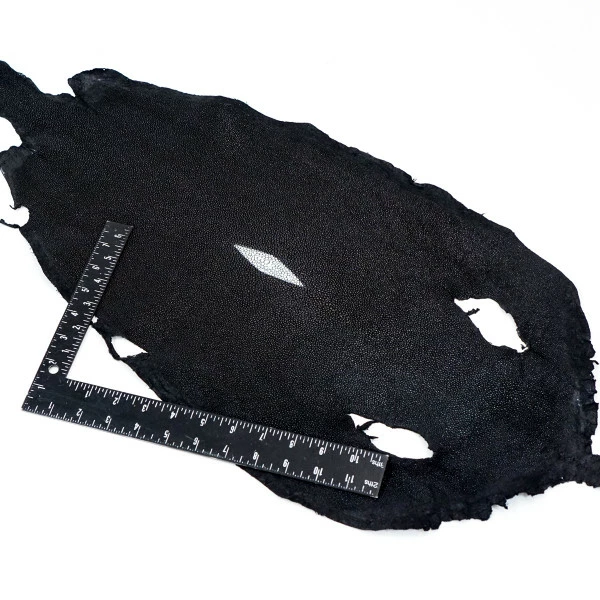 Black Stingray - Large 3 Black Stingray - Large - Image 3
