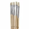 Brush Set,Wood Handle,5pc