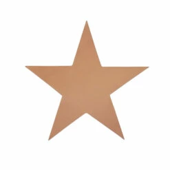 Shape - 5 Point Star 9 Shape - 5 Point Star -Leather Goods Sales Shop 5ps.X Large.01