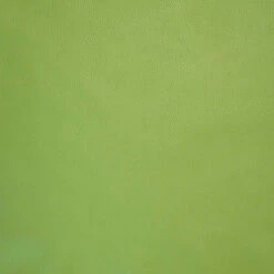 Lightweight Biker-Chap Side - Avocado -Leather Goods Sales Shop 62 02.SLC .3