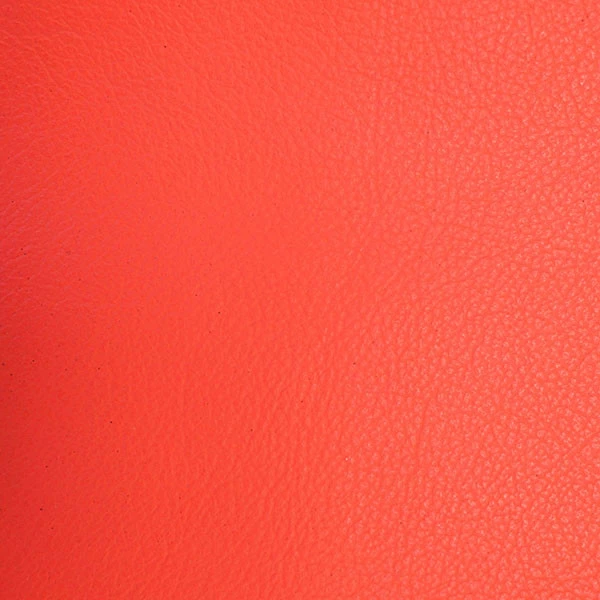 Lightweight Biker-Chap Side - Deep Sea Coral 3 Lightweight Biker-Chap Side - Deep Sea Coral - Image 3