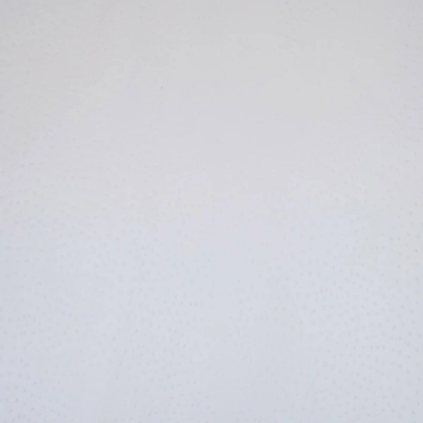 Ostrich Print On Cow Sides - White 3 Ostrich Print On Cow Sides - White - Image 3