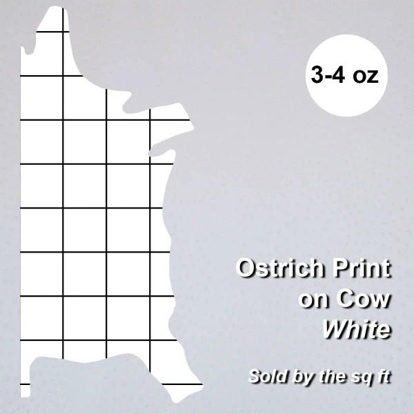Ostrich Print On Cow Sides - White 4 Ostrich Print On Cow Sides - White - Image 4