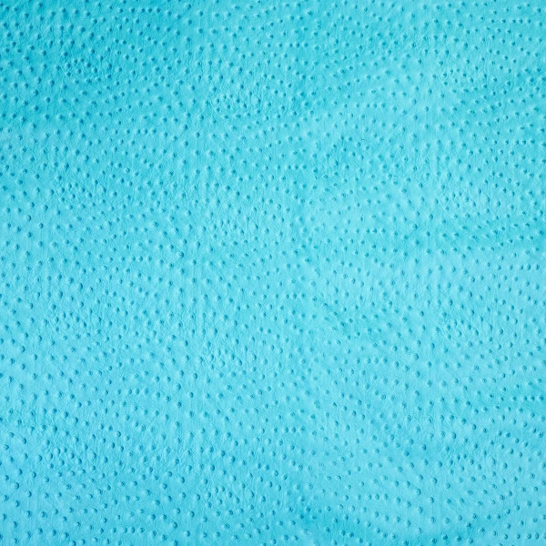 Ostrich Print On Cow Sides - Turquoise 2 Ostrich Print On Cow Sides - Turquoise - Image 2