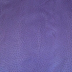 Ostrich Print On Cow Sides - African Violet -Leather Goods Sales Shop 62 49.SLC .03