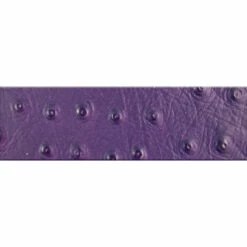 African Violet Ostrich Strip 3 1/2