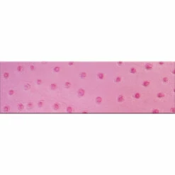 Hot Pink Ostrich Strip 3 1/2