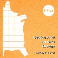 Ostrich Print On Cow Sides - Orange 7 Ostrich Print On Cow Sides - Orange -Leather Goods Sales Shop 62 68.SLC .4