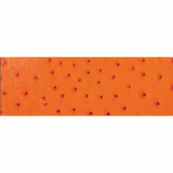 Orange Ostrich Strip 1 5/8