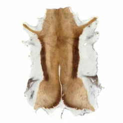 Springbok Hair-on Skin