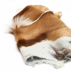 Springbok Hair-on Skin -Leather Goods Sales Shop 63 04.SLC .03