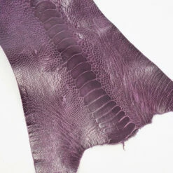 Ostrich Leg - African Violet