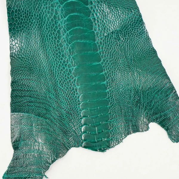 Ostrich Leg - Brilliant Green 1 Ostrich Leg - Brilliant Green