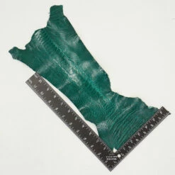 Ostrich Leg - Brilliant Green 5 Ostrich Leg - Brilliant Green -Leather Goods Sales Shop 63 30504.SLC .3