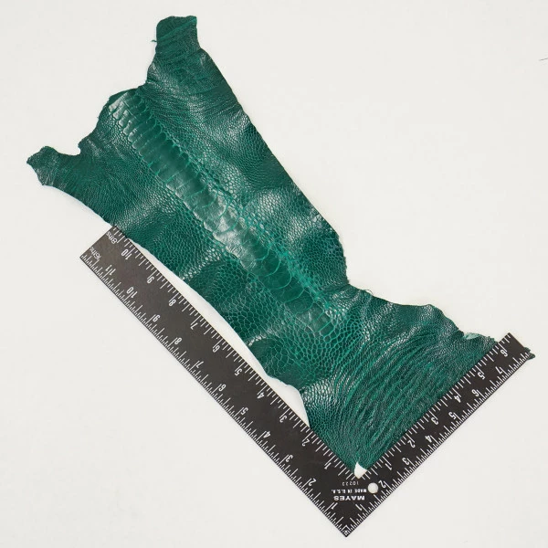 Ostrich Leg - Brilliant Green 3 Ostrich Leg - Brilliant Green - Image 3