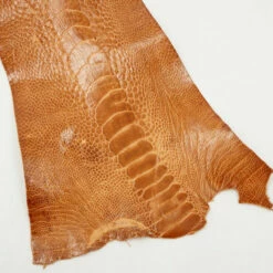 Ostrich Leg - Brandy