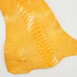 Ostrich Leg - Chrysanthemum
