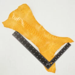 Ostrich Leg - Chrysanthemum -Leather Goods Sales Shop 63 30508.SLC .3