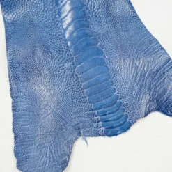 Ostrich Leg - Clemaris