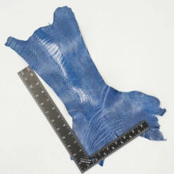 Ostrich Leg - Clemaris -Leather Goods Sales Shop 63 30509.SLC .3