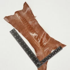 Ostrich Leg - Copper -Leather Goods Sales Shop 63 30510.SLC .3