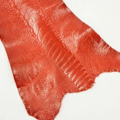 New Release 16 Ostrich Leg - Flame Red