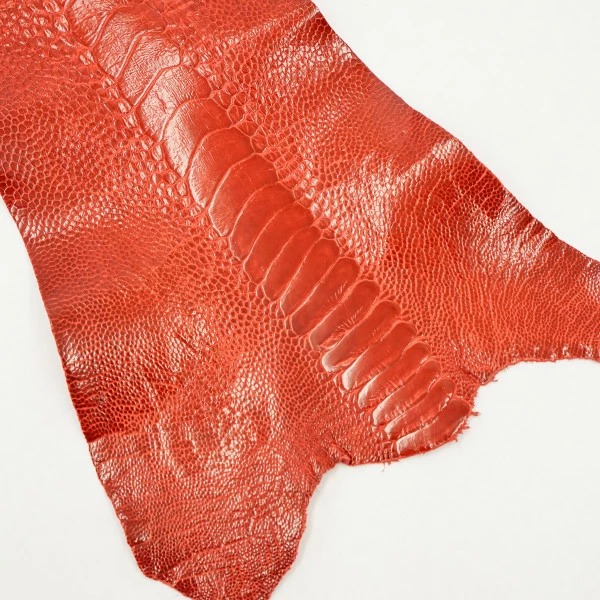 Ostrich Leg - Flame Red 1 Ostrich Leg - Flame Red