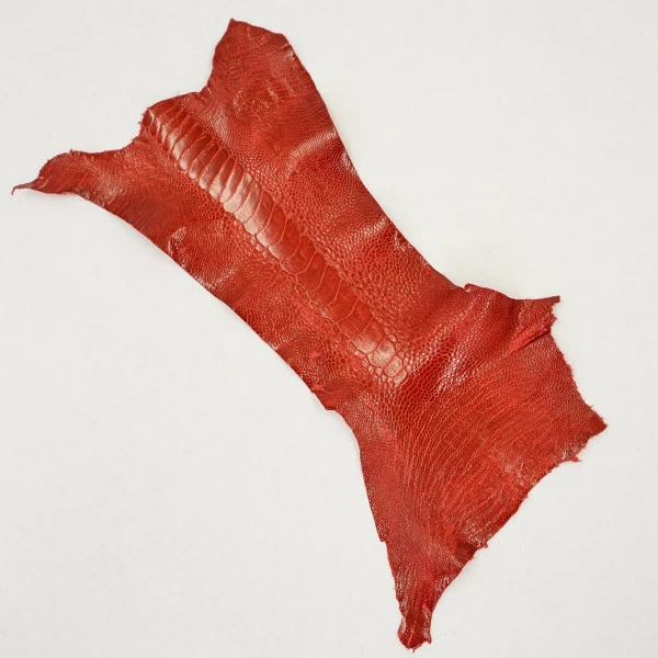Ostrich Leg - Flame Red 2 Ostrich Leg - Flame Red - Image 2