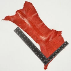 Ostrich Leg - Flame Red 5 Ostrich Leg - Flame Red -Leather Goods Sales Shop 63 30512.SLC .3