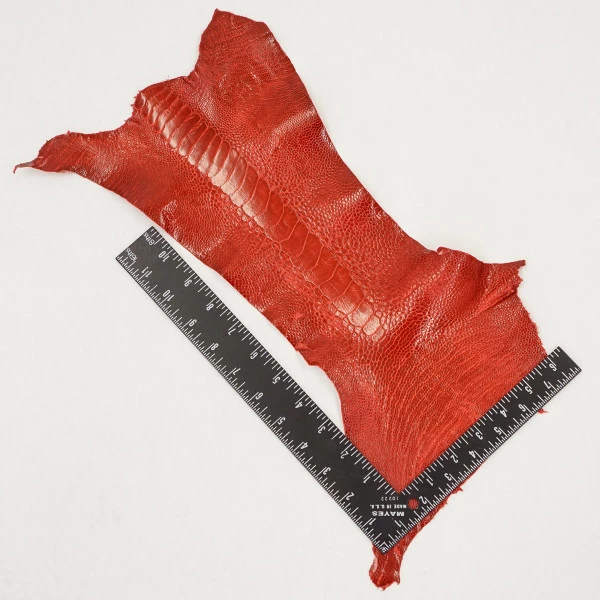 Ostrich Leg - Flame Red 3 Ostrich Leg - Flame Red - Image 3