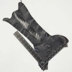 Ostrich Leg - Navy Blue -Leather Goods Sales Shop 63 30513.SLC .3