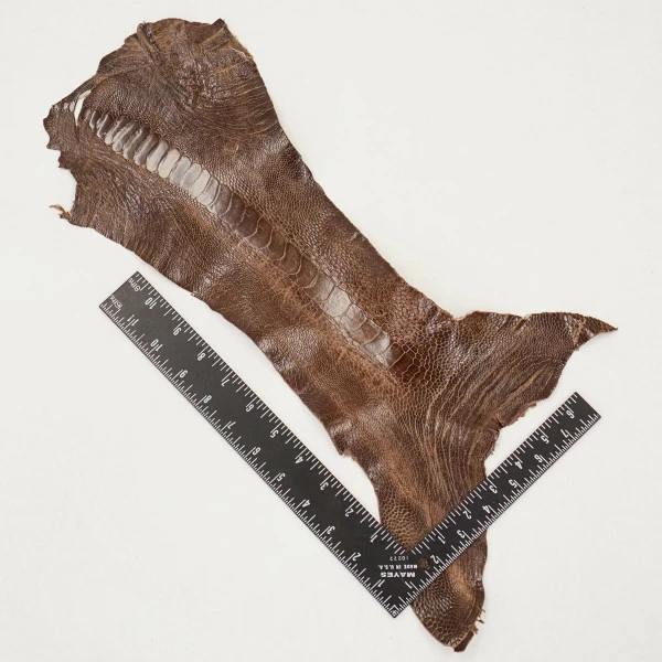 Ostrich Leg - Rugged 3 Ostrich Leg - Rugged - Image 3