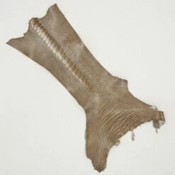 New Release -Leather Goods Sales Shop 63 30516.SLC .2