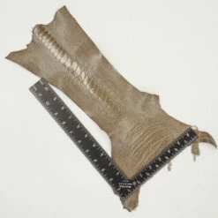 Ostrich Leg - Tapestry Grey -Leather Goods Sales Shop 63 30516.SLC .3