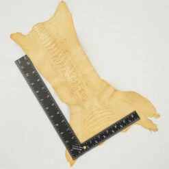 Ostrich Leg - Wheat -Leather Goods Sales Shop 63 30517.SLC .3